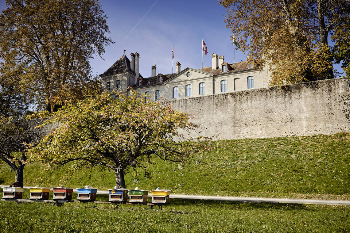 Château de Prangins - Schweizerisches Nationalmuseum | © © Musée national suisse