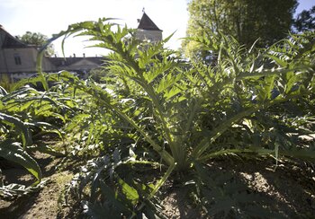 Le Potager du Château de Prangins | © ©Musée national suisse