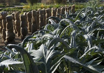 Le Potager du Château de Prangins | © ©Musée national suisse