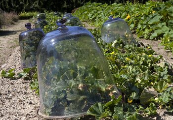 Le Potager du Château de Prangins | © ©Musée national suisse