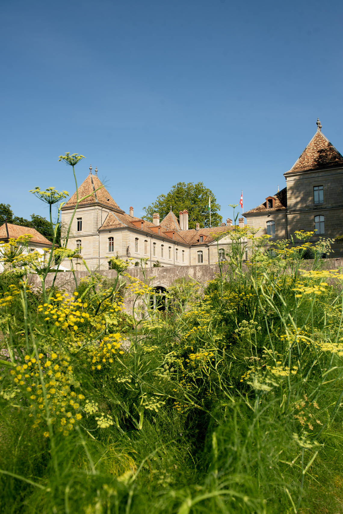 Le Potager du Château de Prangins | © ©Musée national suisse Photo Delphine Schacher