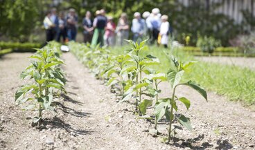 Le Potager du Château de Prangins | © ©Musée national suisse