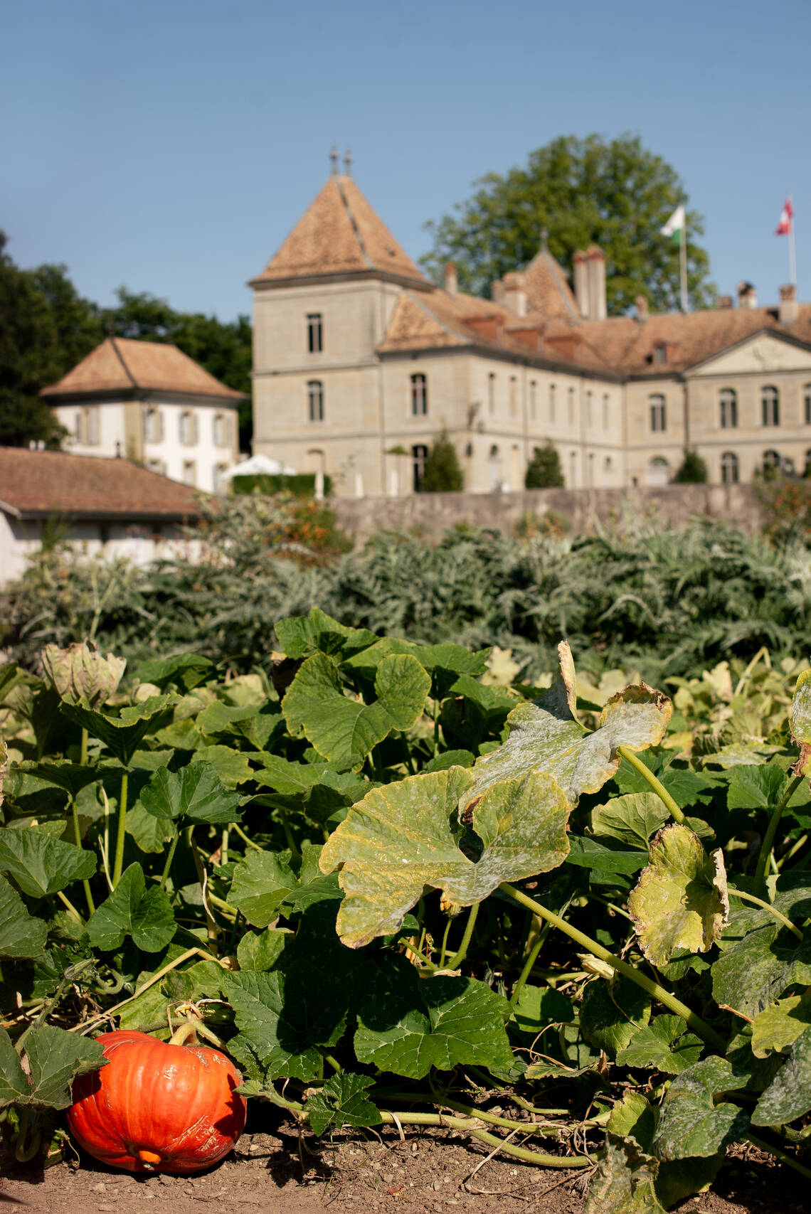 Le Potager du Château de Prangins | © ©Musée national suisse Photo Delphine Schacher