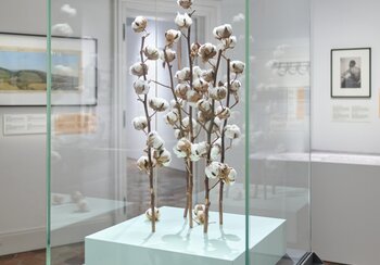 Bild der Szenografie | © © Schweizerisches Nationalmuseum